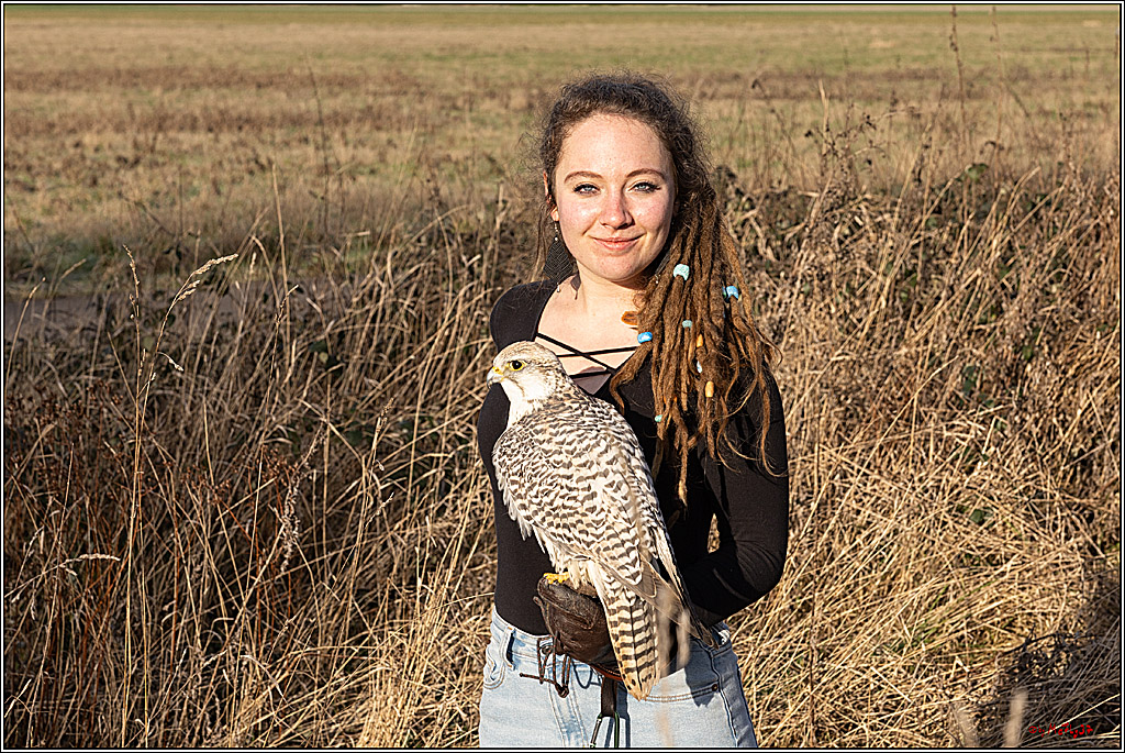 Cheyenne-Halbblut Hunting Wolf in der Falknerei Pierre Schmidt; Gymnich, 09.02.2023